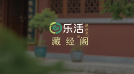 智谷趋势-周报